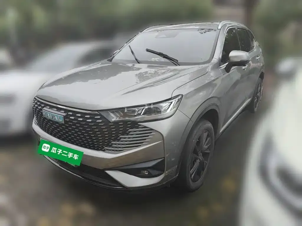 Haval H6 New Energy — фото 1
