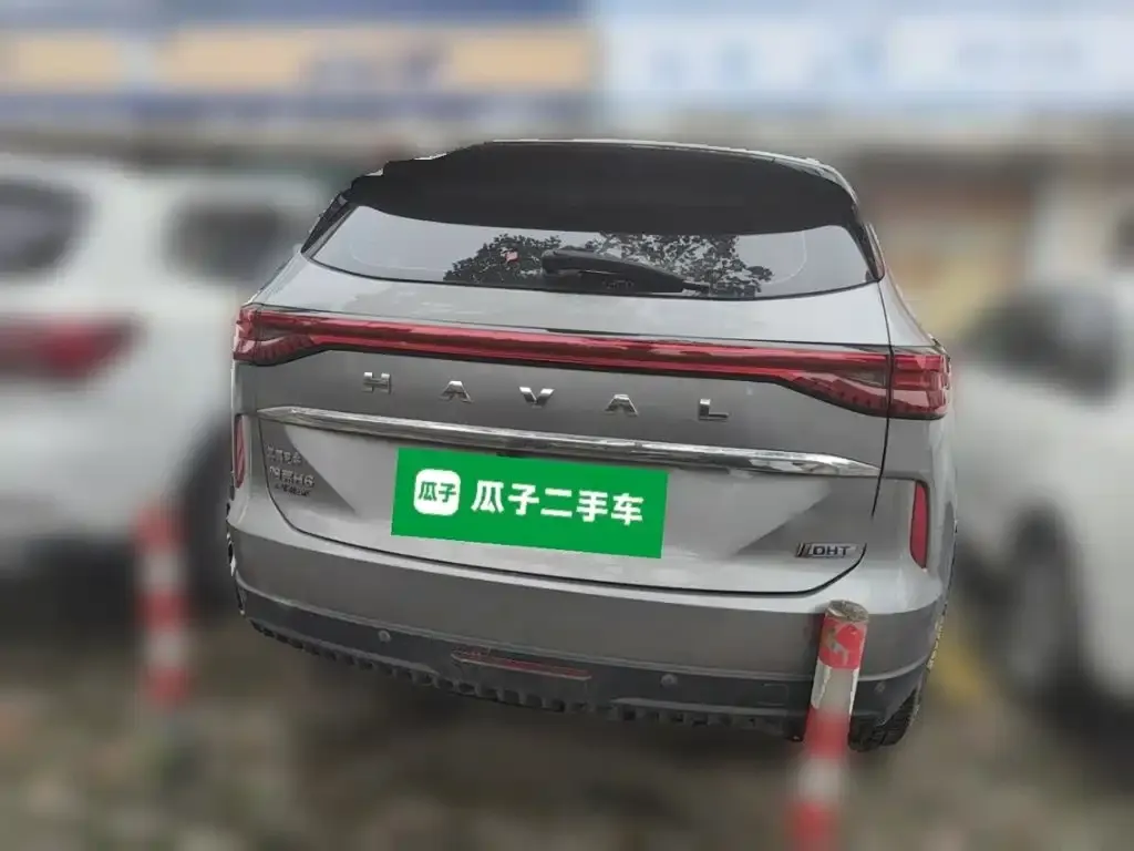 Haval H6 New Energy — фото 8