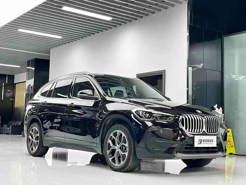 BMW X1 — фото 10