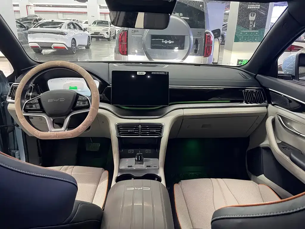 BYD PLUS New Energy — фото 10
