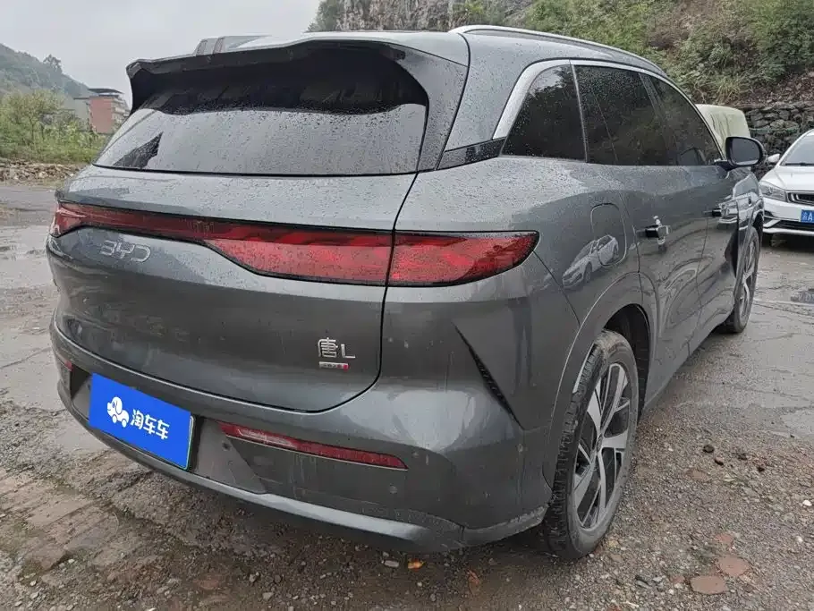 BYD Tang L — фото 3