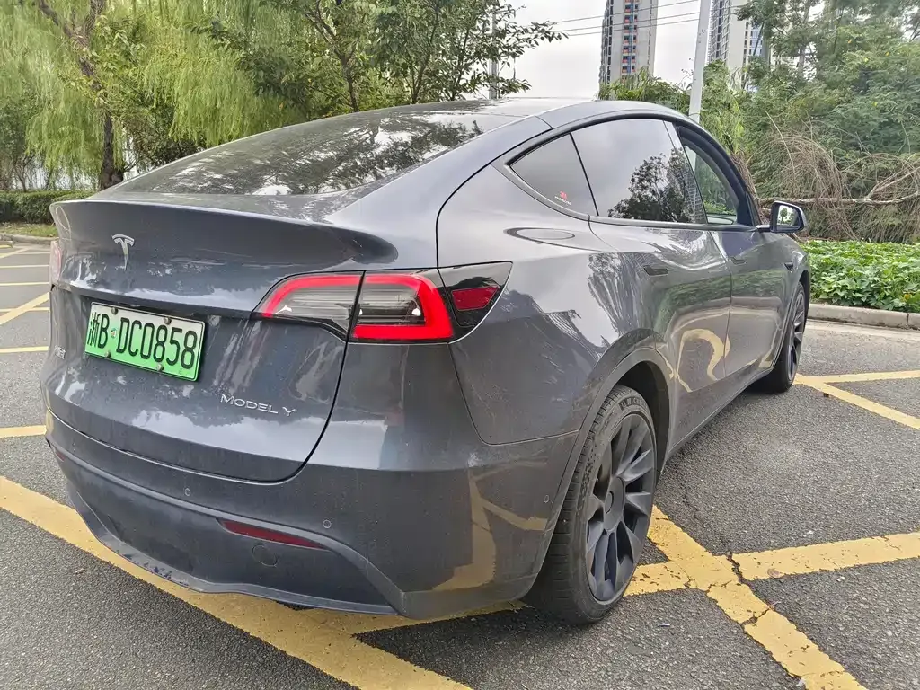 Tesla Model Y — фото 9