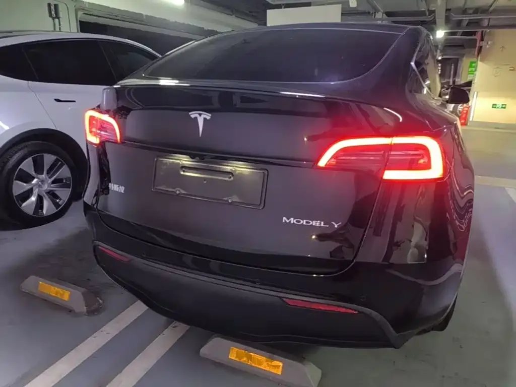 Tesla Model Y — фото 2