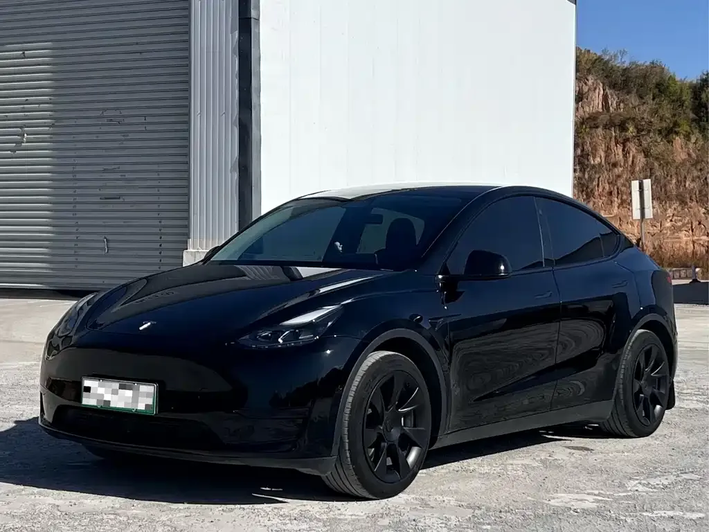 Tesla Model Y — фото 1