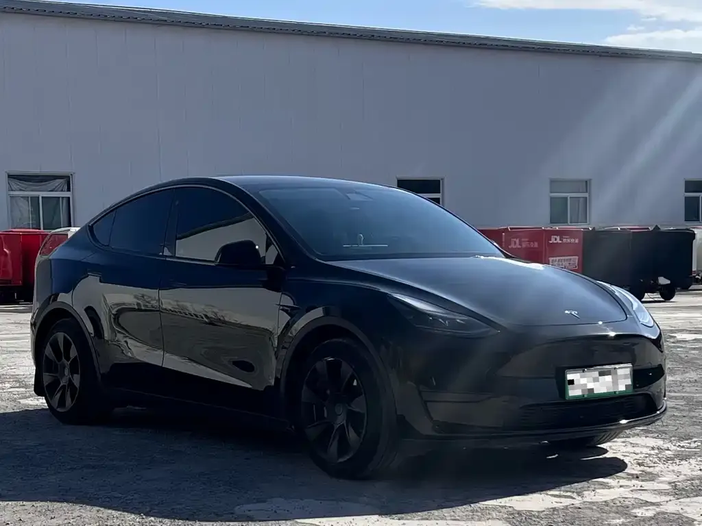 Tesla Model Y — фото 3