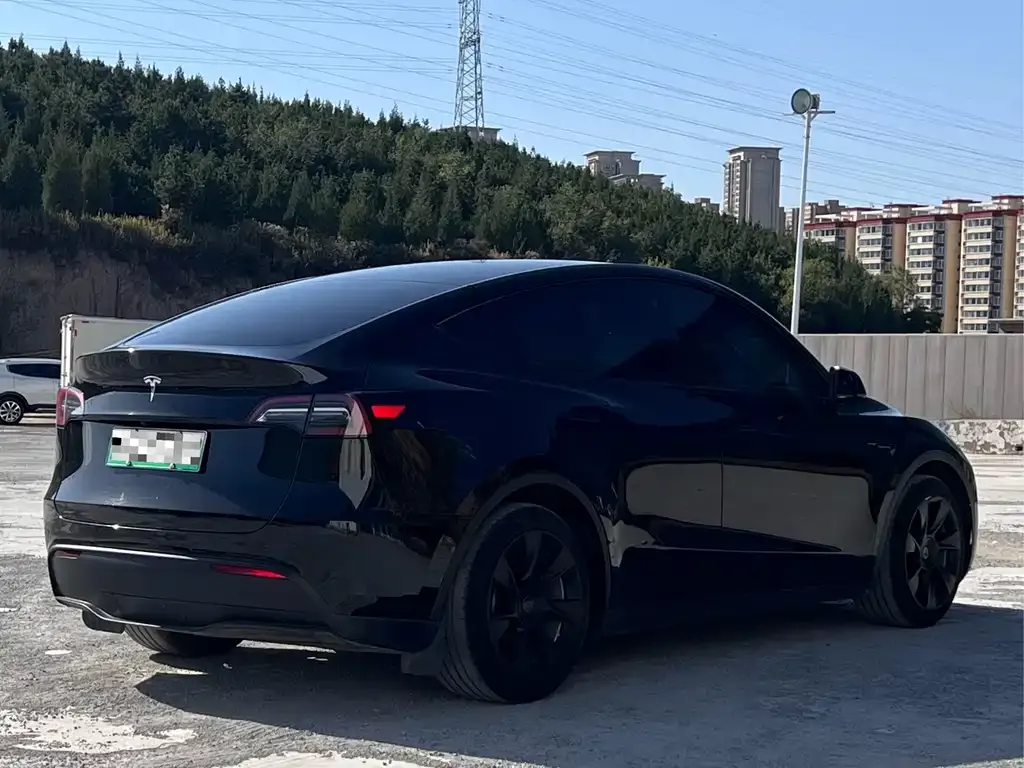 Tesla Model Y — фото 2