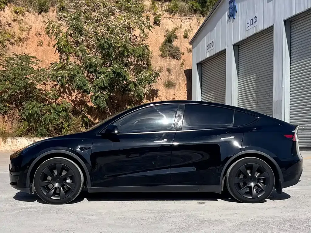 Tesla Model Y — фото 9