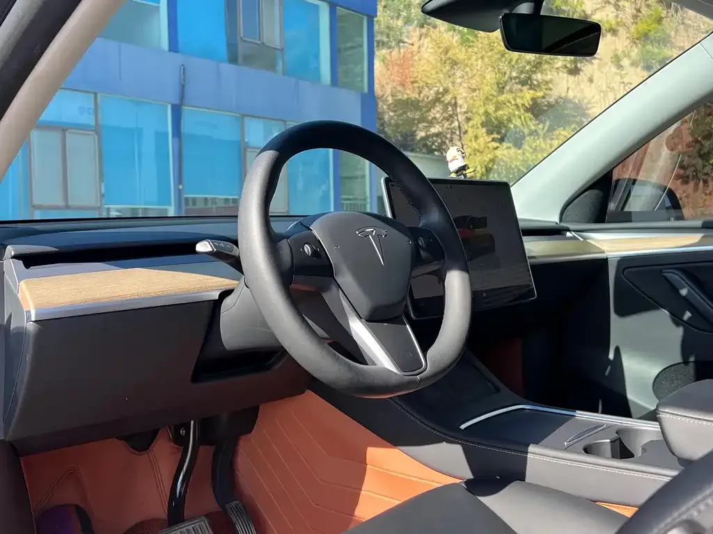 Tesla Model Y — фото 8