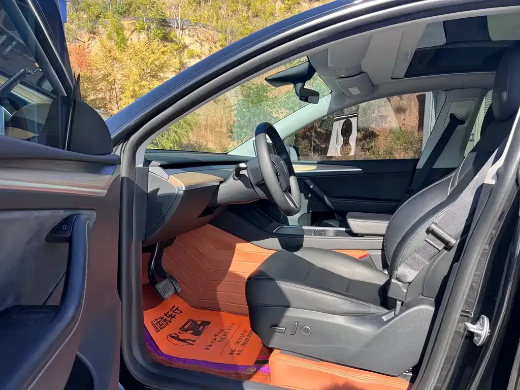 Tesla Model Y — фото 10