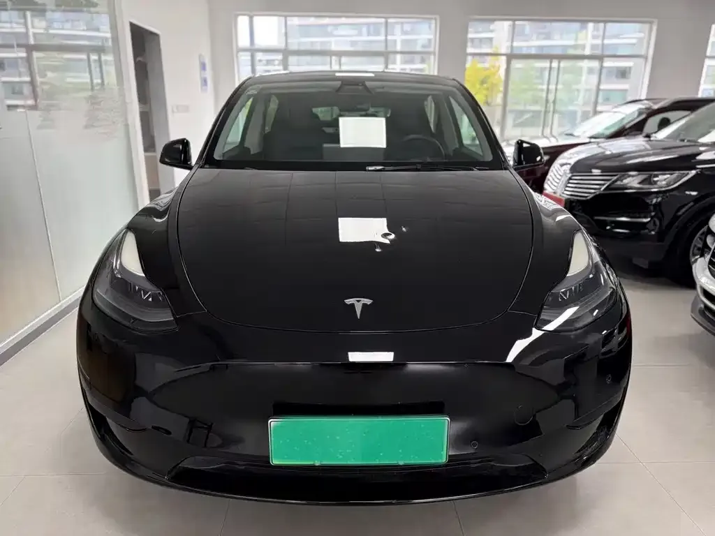 Tesla Model Y — фото 9