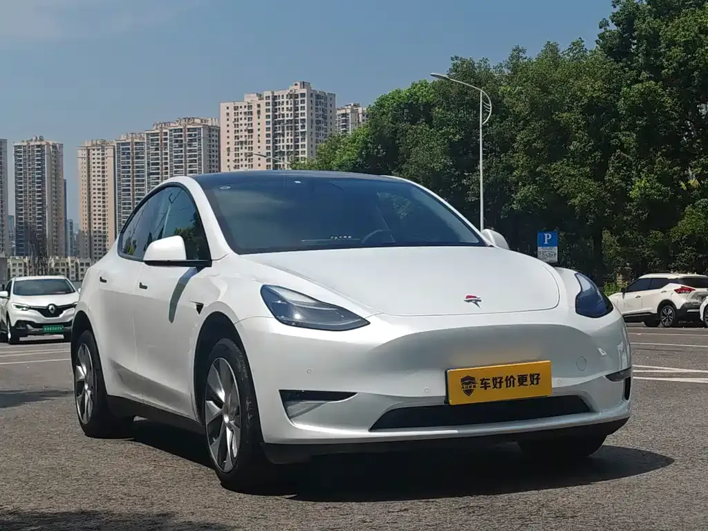 Tesla Model Y — фото 9