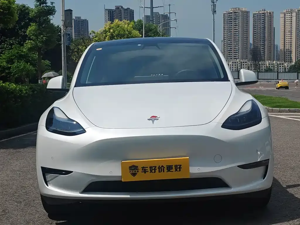 Tesla Model Y — фото 6
