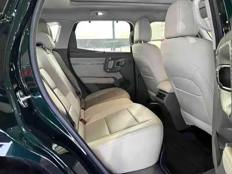 Haval Big Dog PLUS New Energy — фото 4