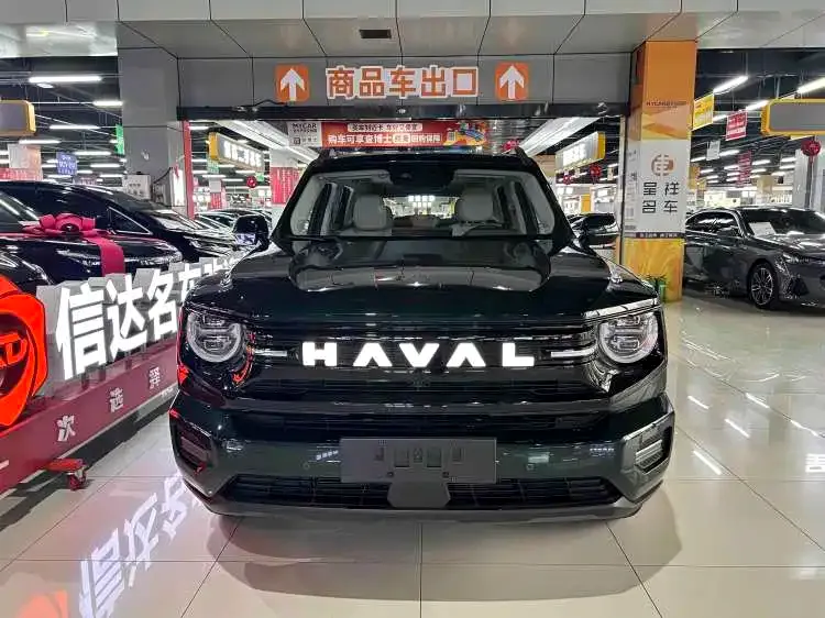 Haval Big Dog PLUS New Energy — фото 7