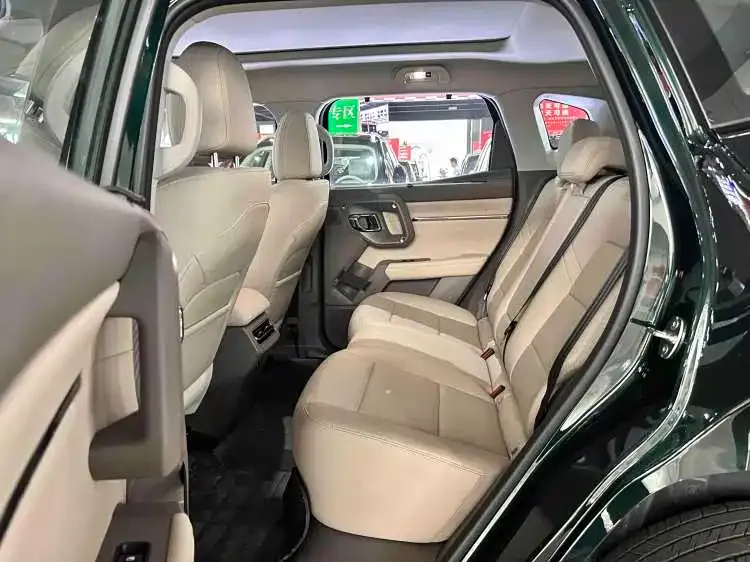 Haval Big Dog PLUS New Energy — фото 8