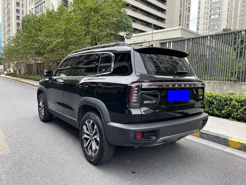 Haval Big Dog — фото 10