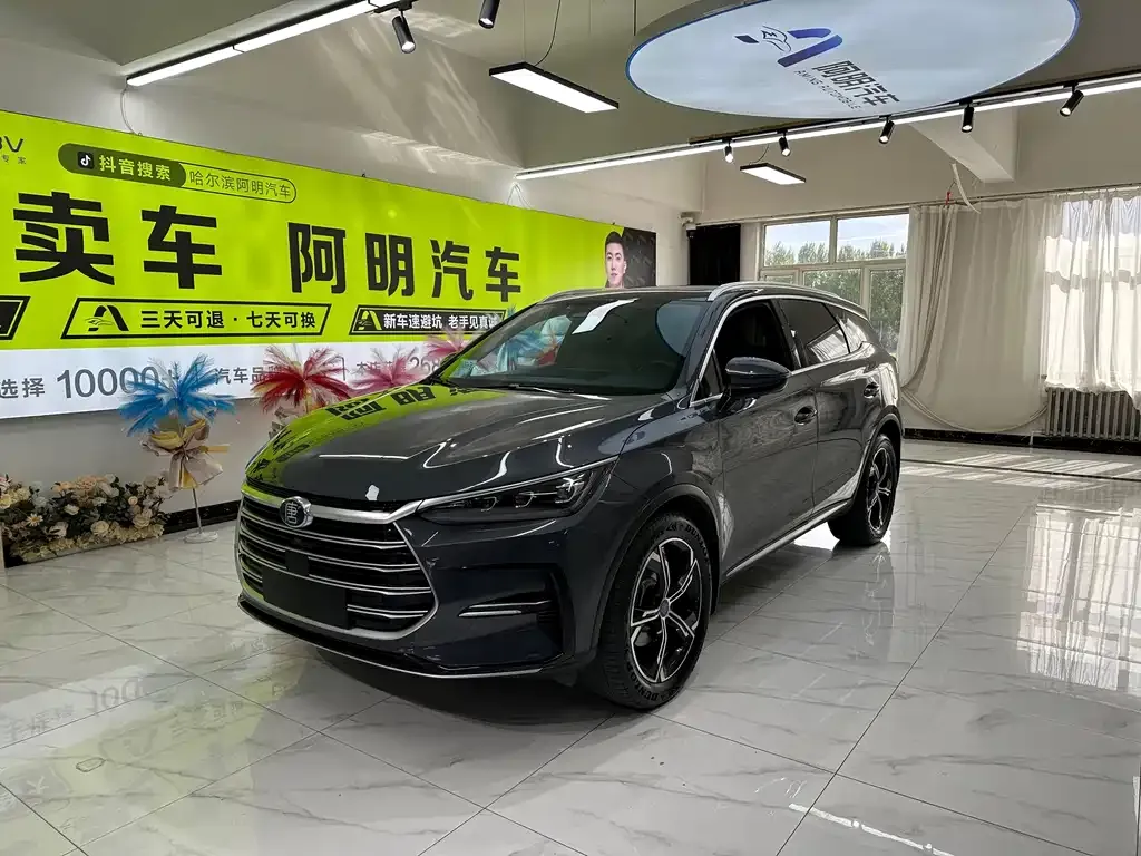 BYD Tang New Energy — фото 1