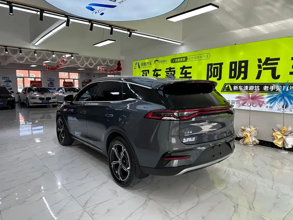 BYD Tang New Energy — фото 2