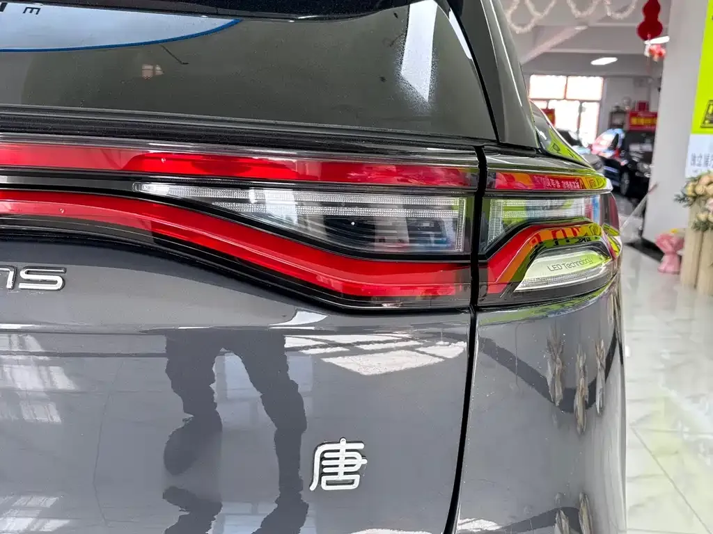 BYD Tang New Energy — фото 7
