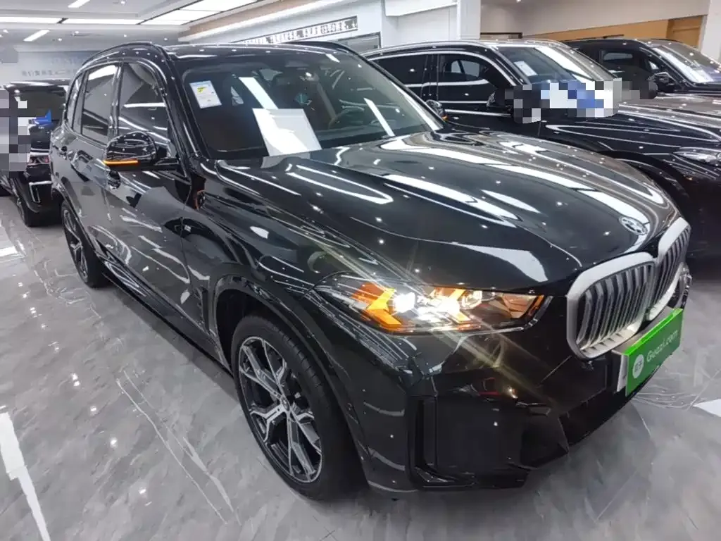 BMW X5 — фото 10