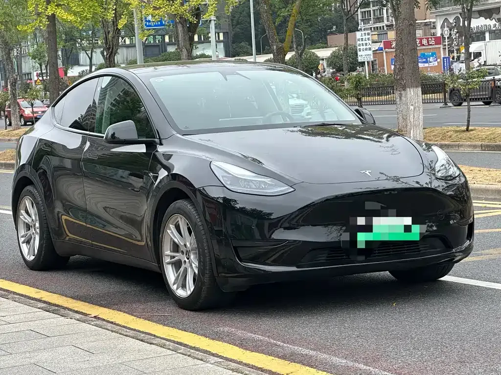 Tesla Model Y — фото 8