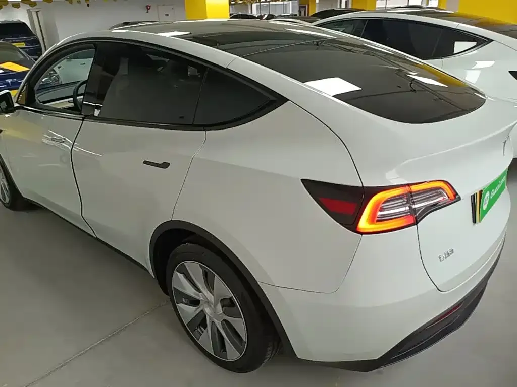 Tesla Model Y — фото 9
