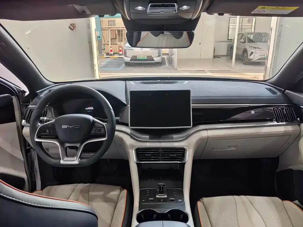BYD PLUS New Energy — фото 10