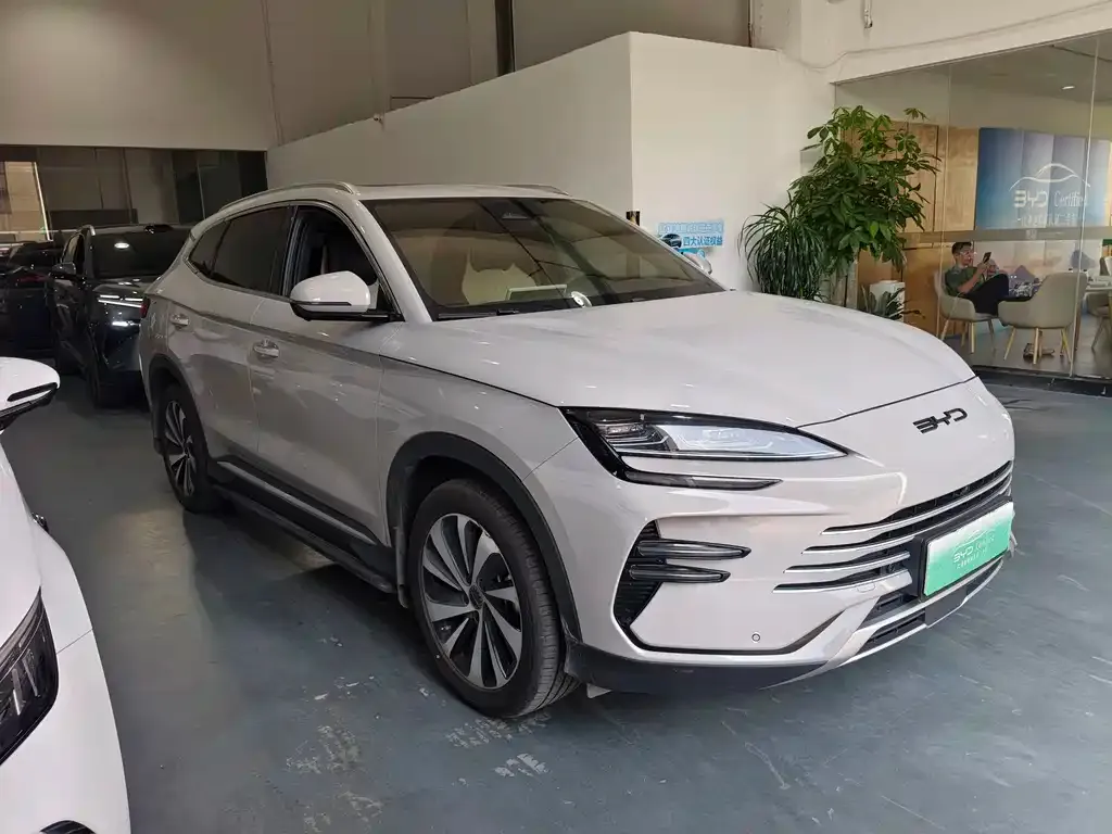 BYD PLUS New Energy — фото 4