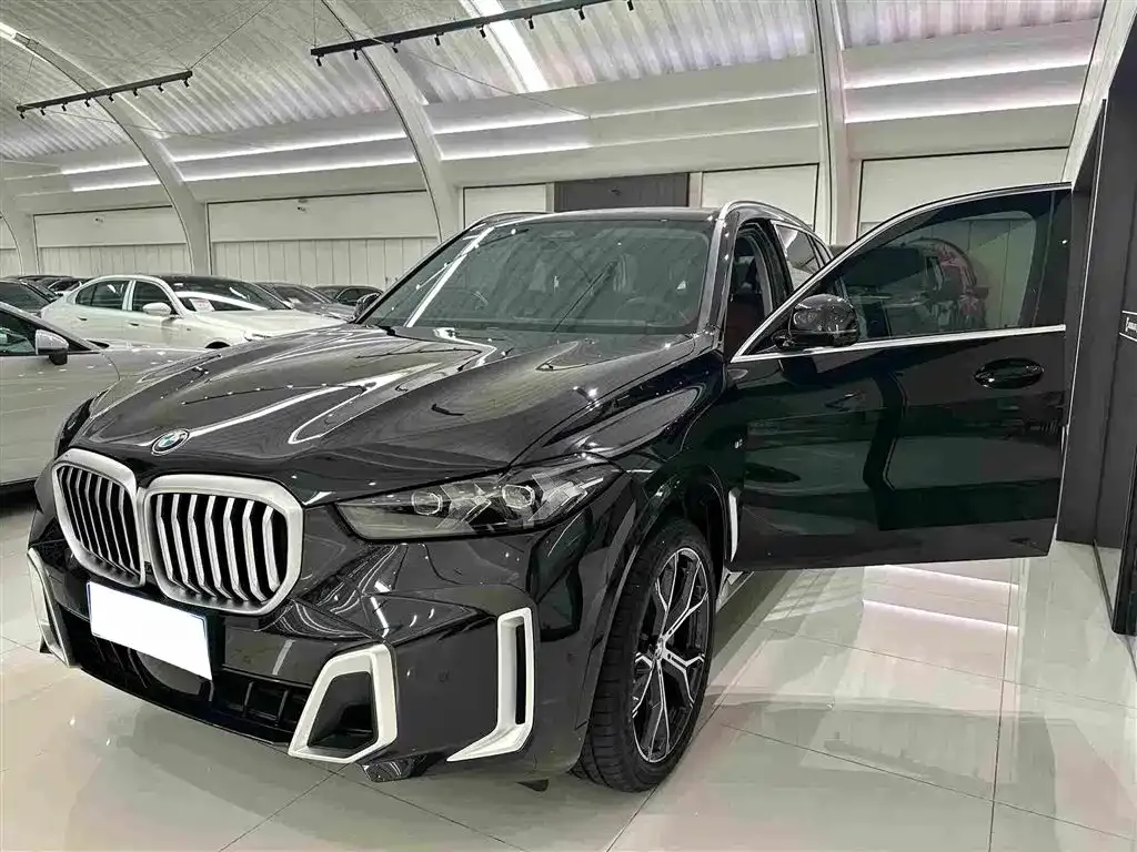 BMW X5 — фото 10