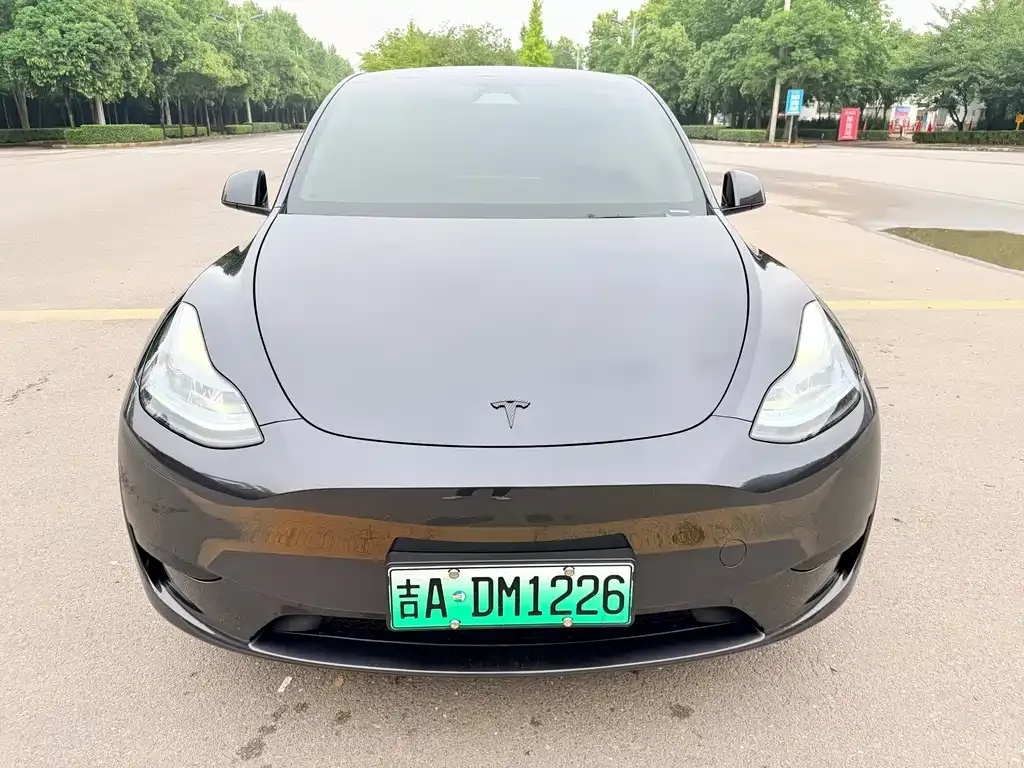 Tesla Model Y — фото 5