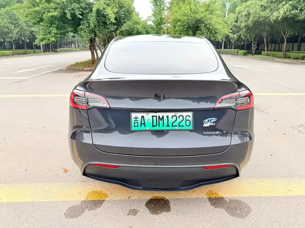 Tesla Model Y — фото 7