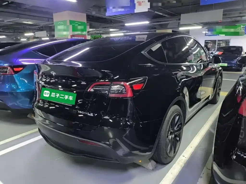Tesla Model Y — фото 3
