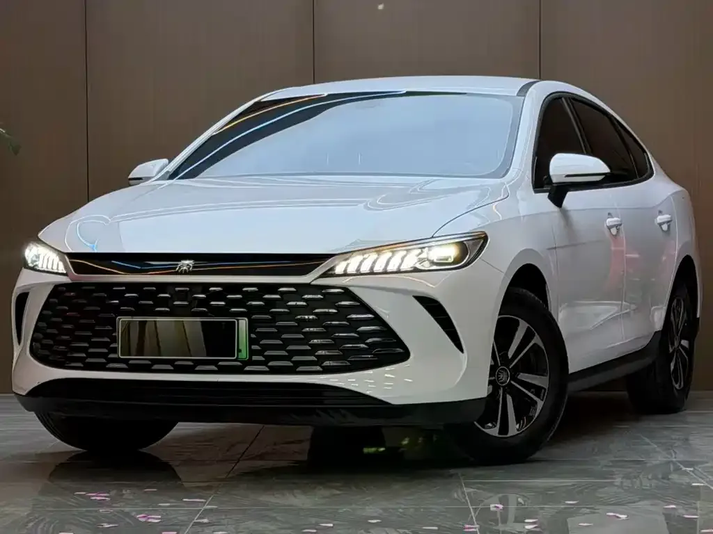 BYD Qin PLUS — фото 1