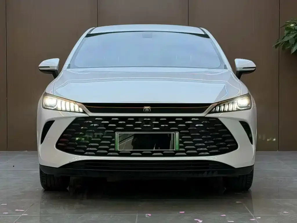 BYD Qin PLUS — фото 8