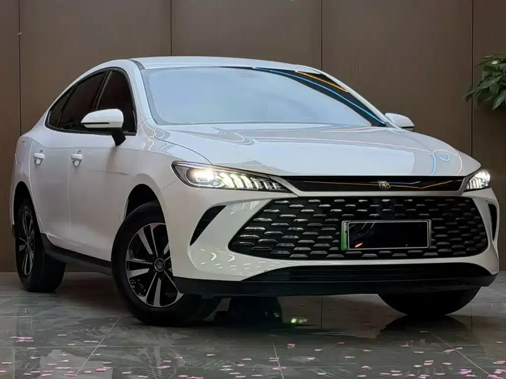 BYD Qin PLUS — фото 5