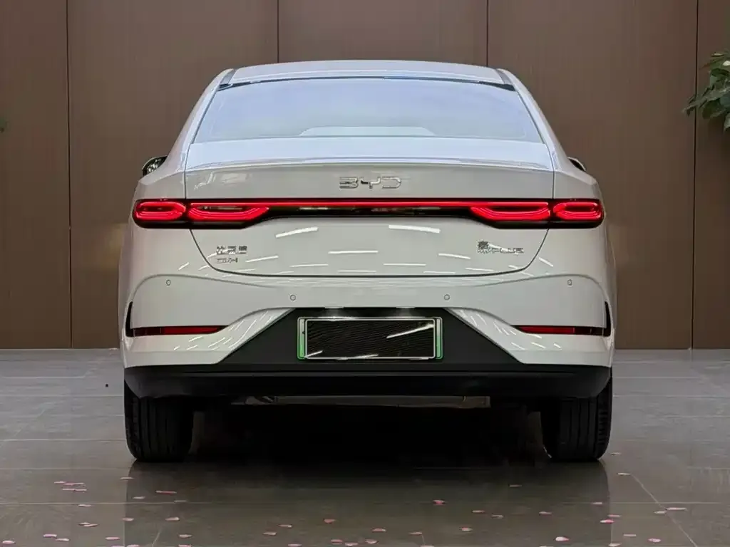 BYD Qin PLUS — фото 2