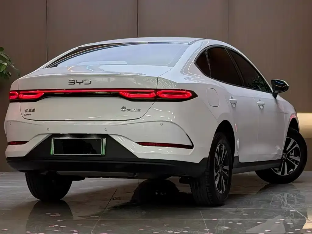 BYD Qin PLUS — фото 3