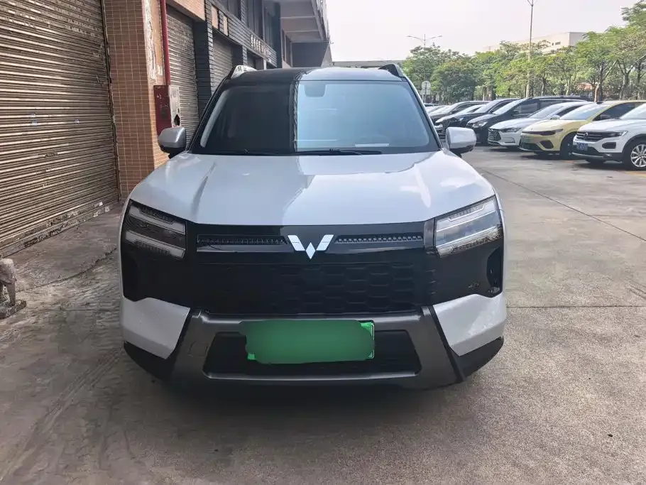 Wuling Xingguang 560 New Energy — фото 4