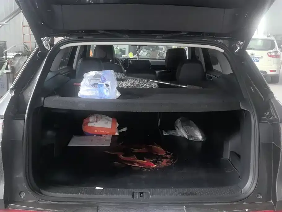Volkswagen Tavendor — фото 9