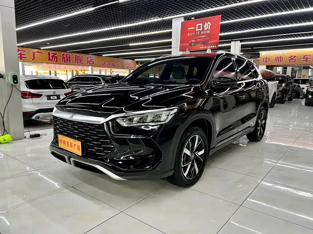 BYD Pro New Energy — фото 1
