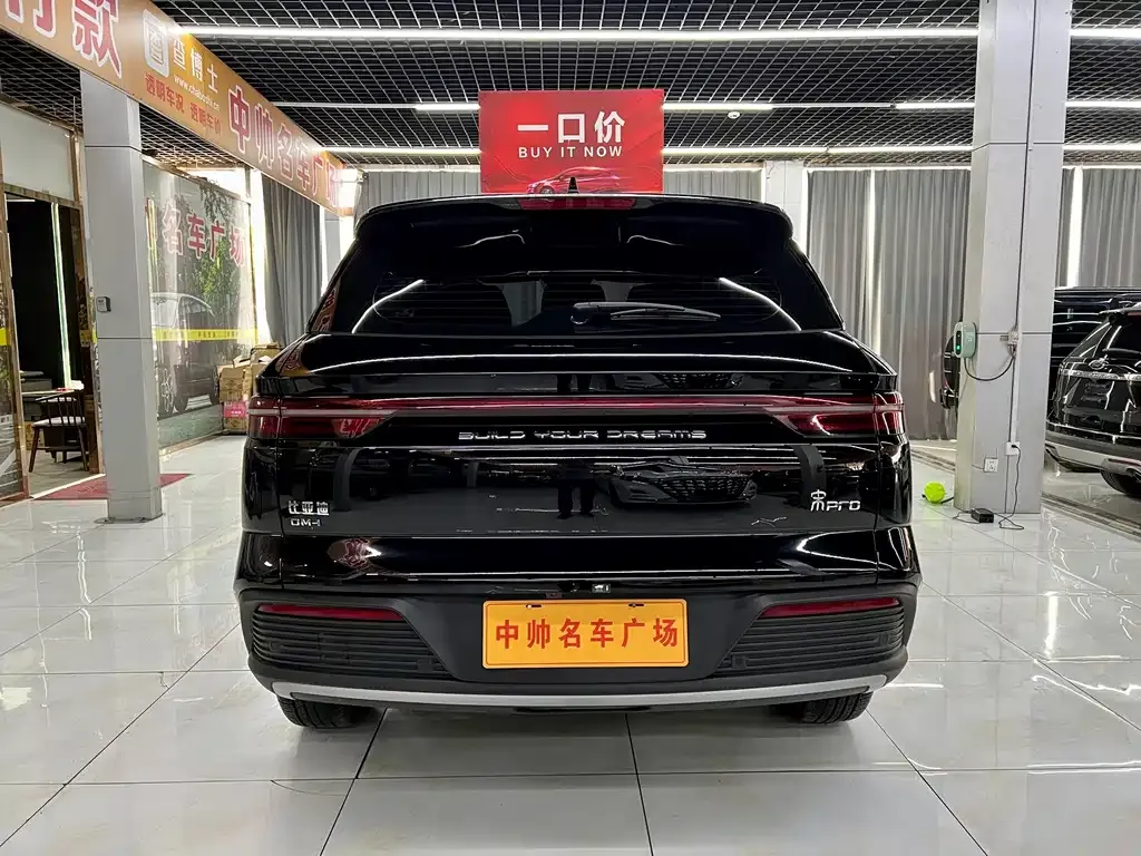 BYD Pro New Energy — фото 9
