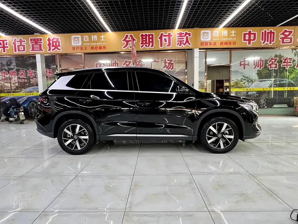 BYD Pro New Energy — фото 5