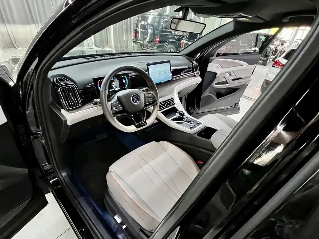 BYD Pro New Energy — фото 3