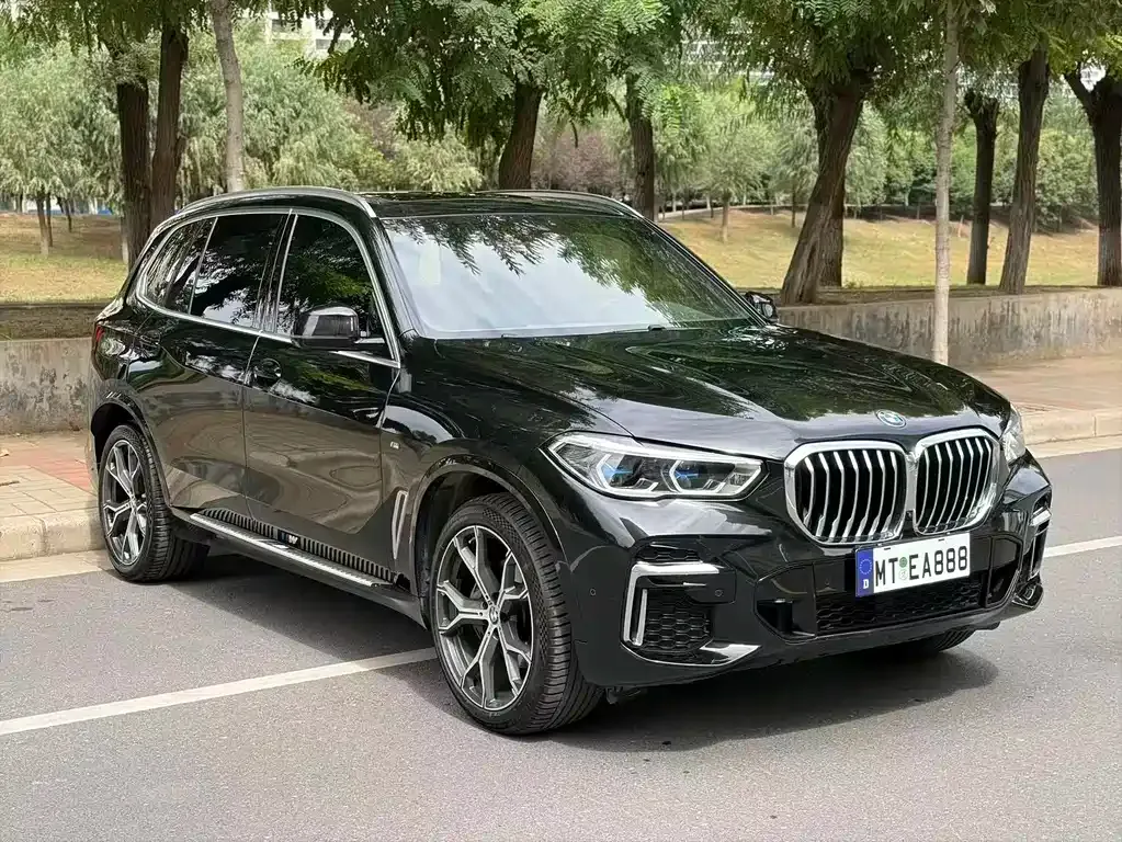 BMW X5 — фото 9