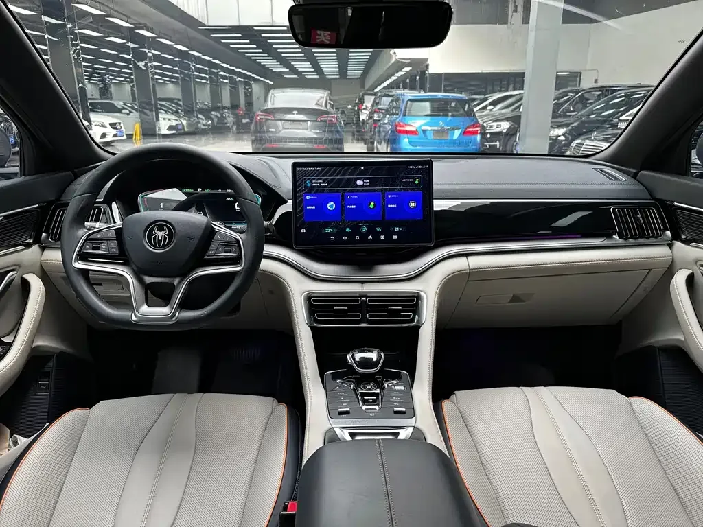BYD PLUS New Energy — фото 5