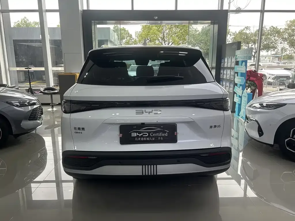 BYD Sealion 05 DM-i — фото 10