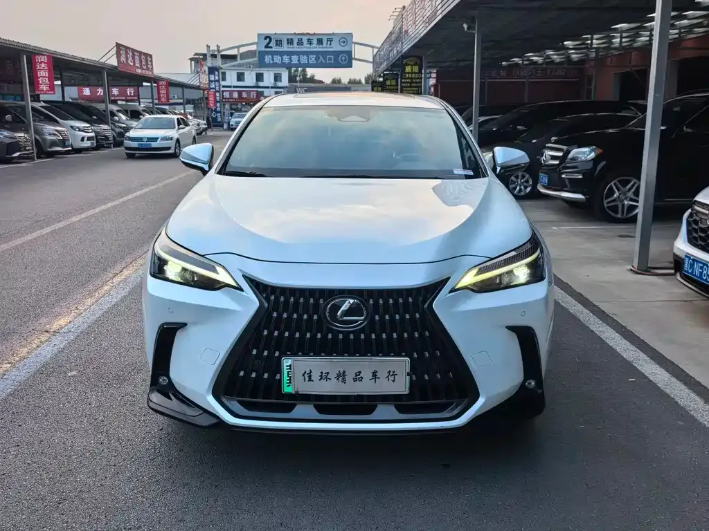 Lexus NX New Energy — фото 1