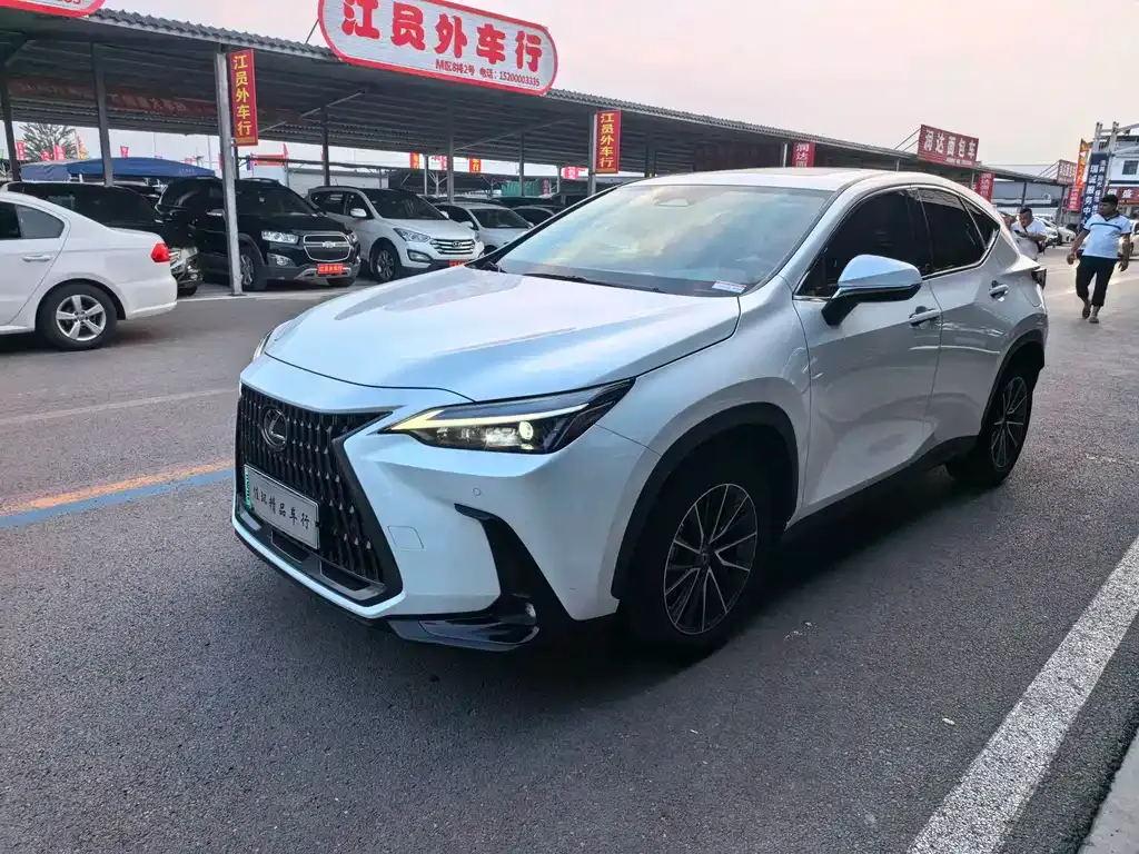 Lexus NX New Energy — фото 10