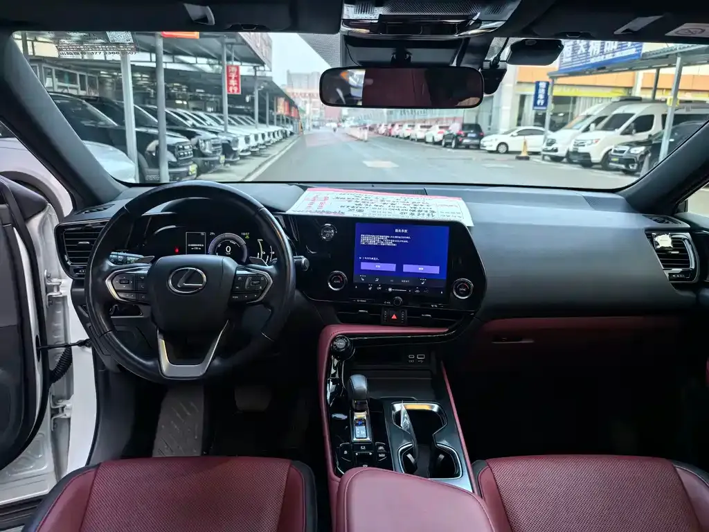 Lexus NX New Energy — фото 9