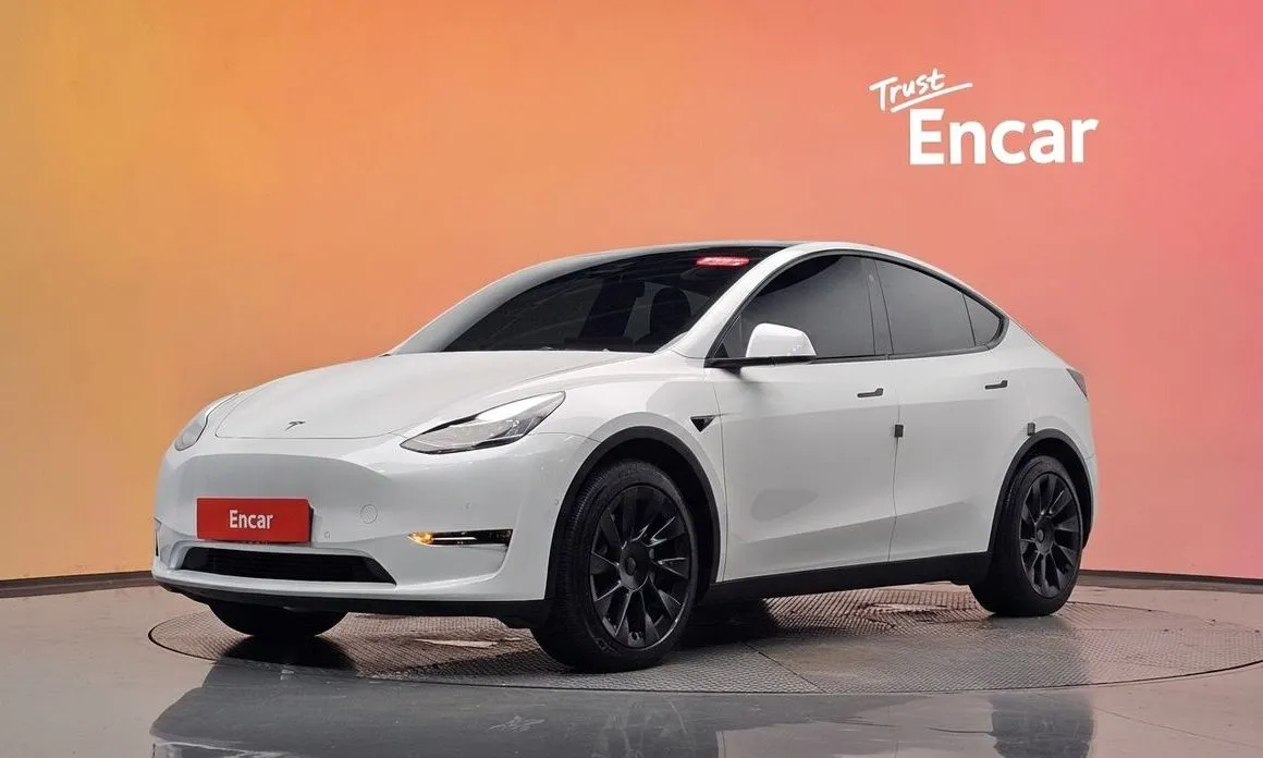 Tesla Model Y — фото 1